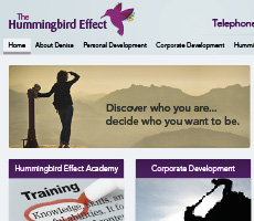 The Hummingbird Effect